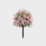 EverBloom | Underhållsfria Trädgårdsblommor