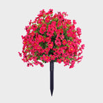 EverBloom | Underhållsfria Trädgårdsblommor