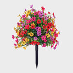 EverBloom | Underhållsfria Trädgårdsblommor
