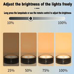 Artwork Light™ | Få konstverk att lysa!