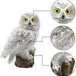 GlowOwl | Magisk Solcellslampa med Uggla